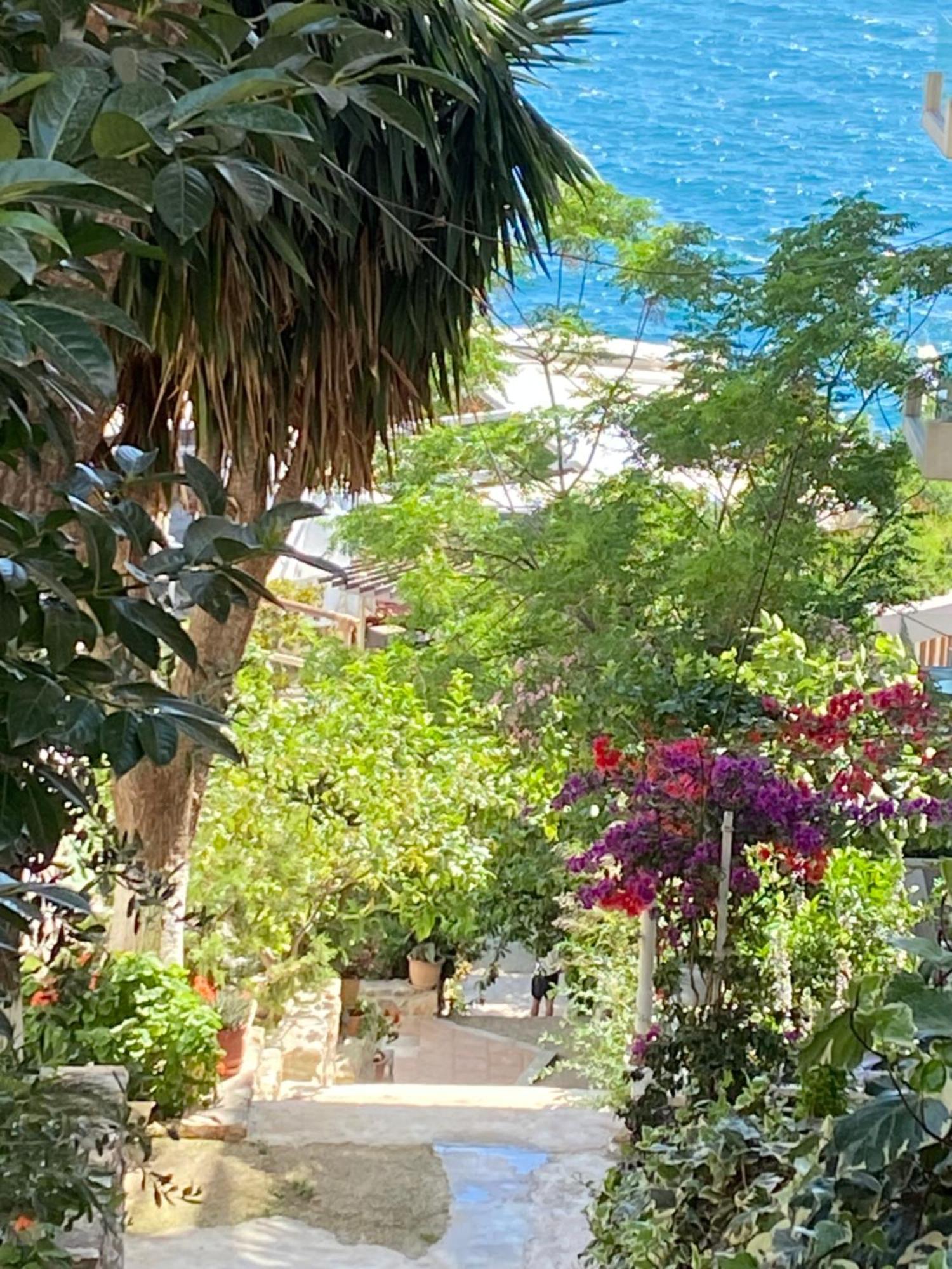 Sirdana *